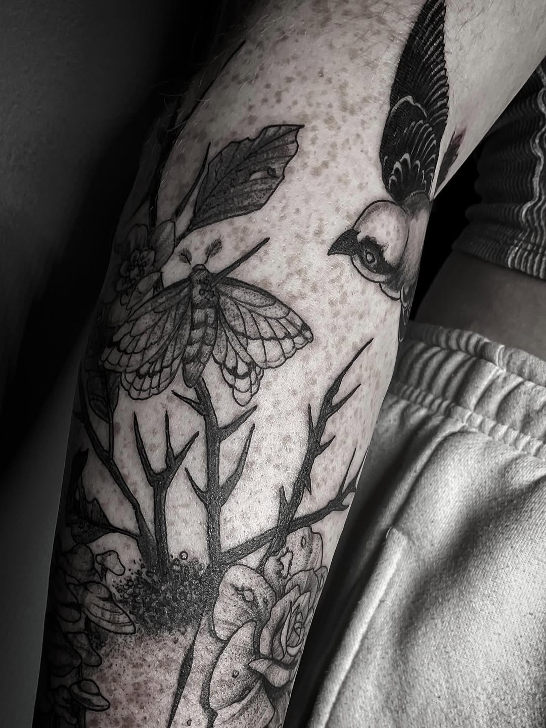 Tattoo by @stefany.m.p — illustrative, black_and_grey