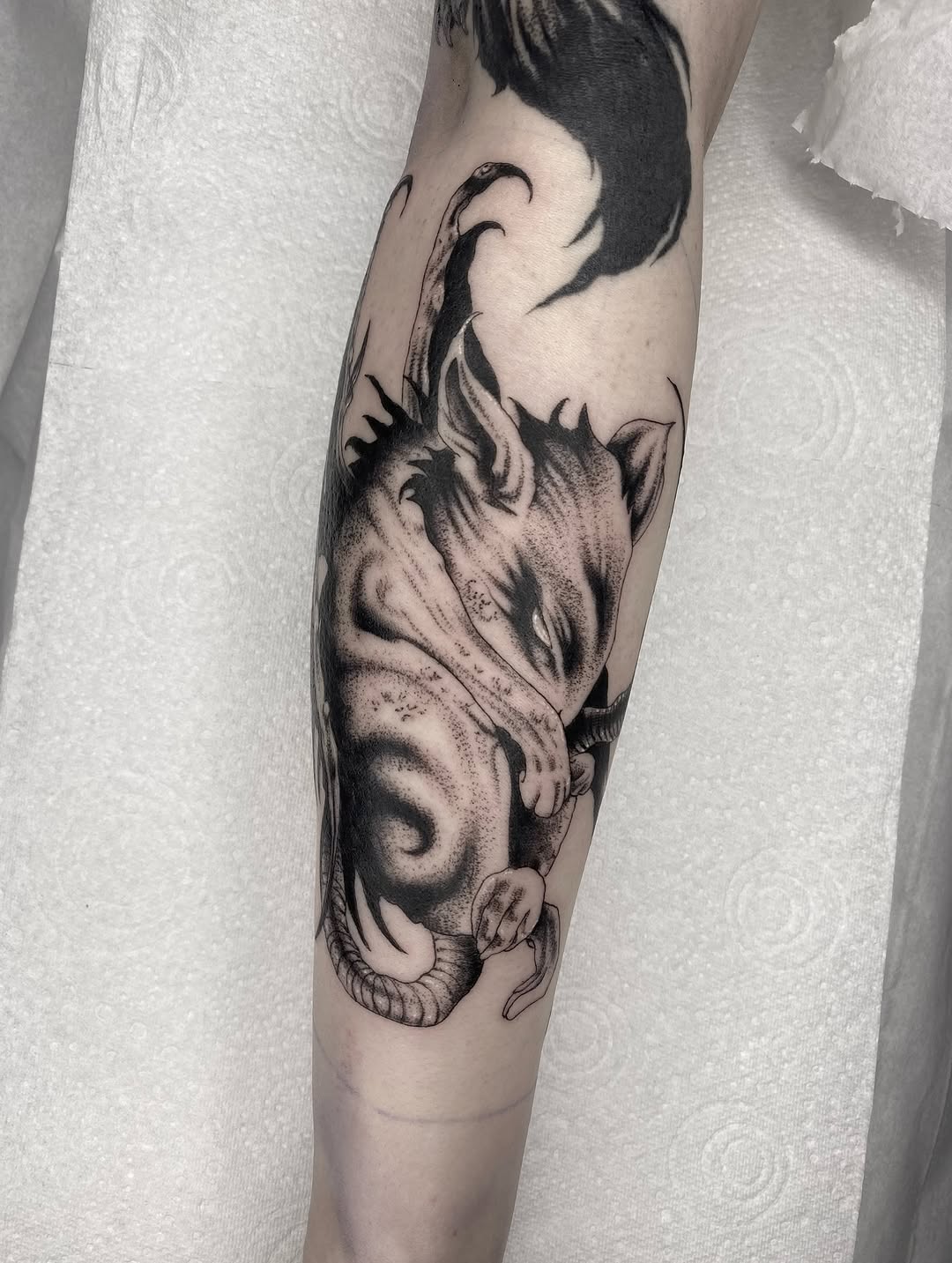 Tattoo by @annaxinks โ black_and_grey, dotwork