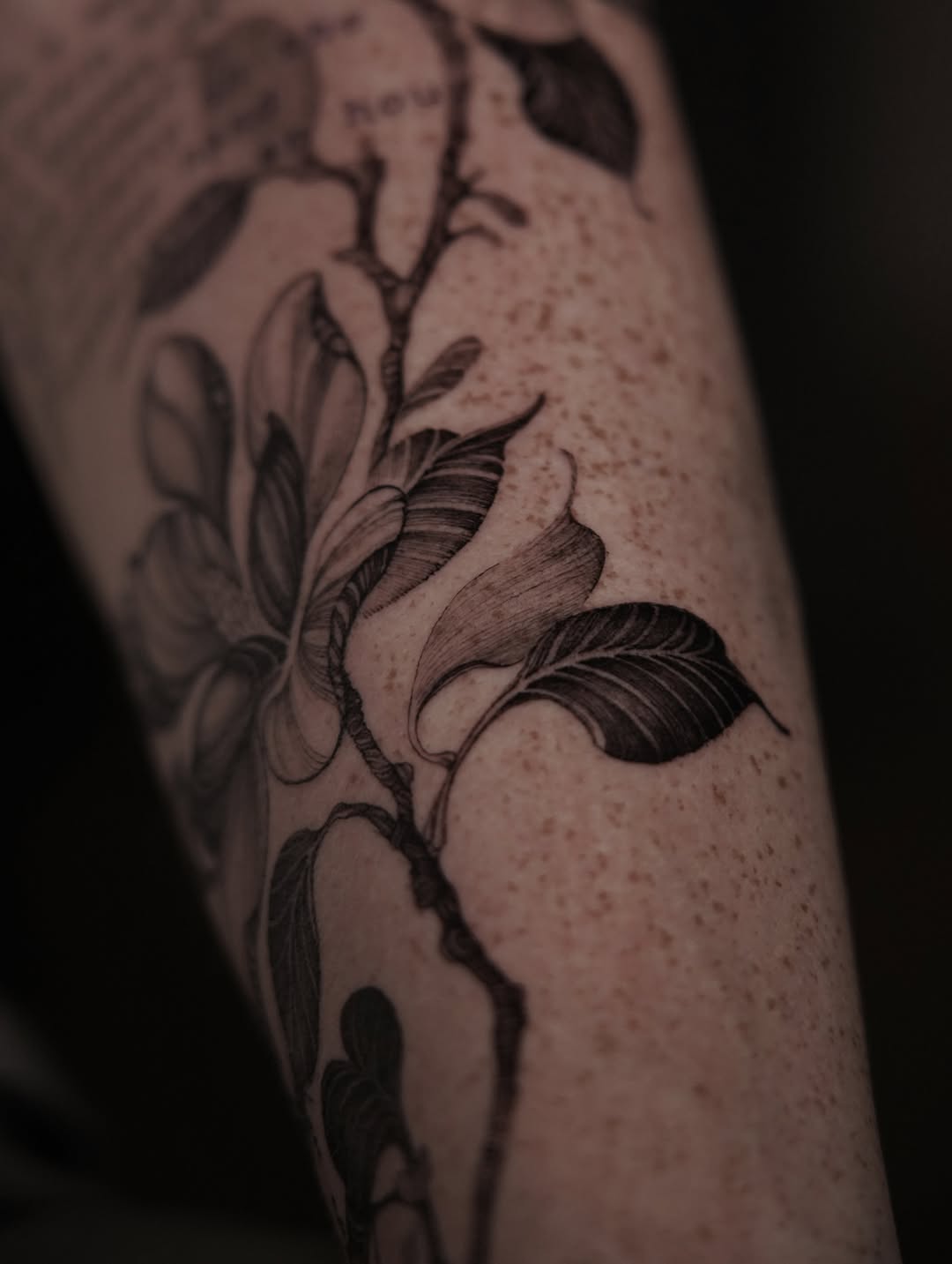 Tattoo by @the_devlintattoos โ fine_line, black_and_grey