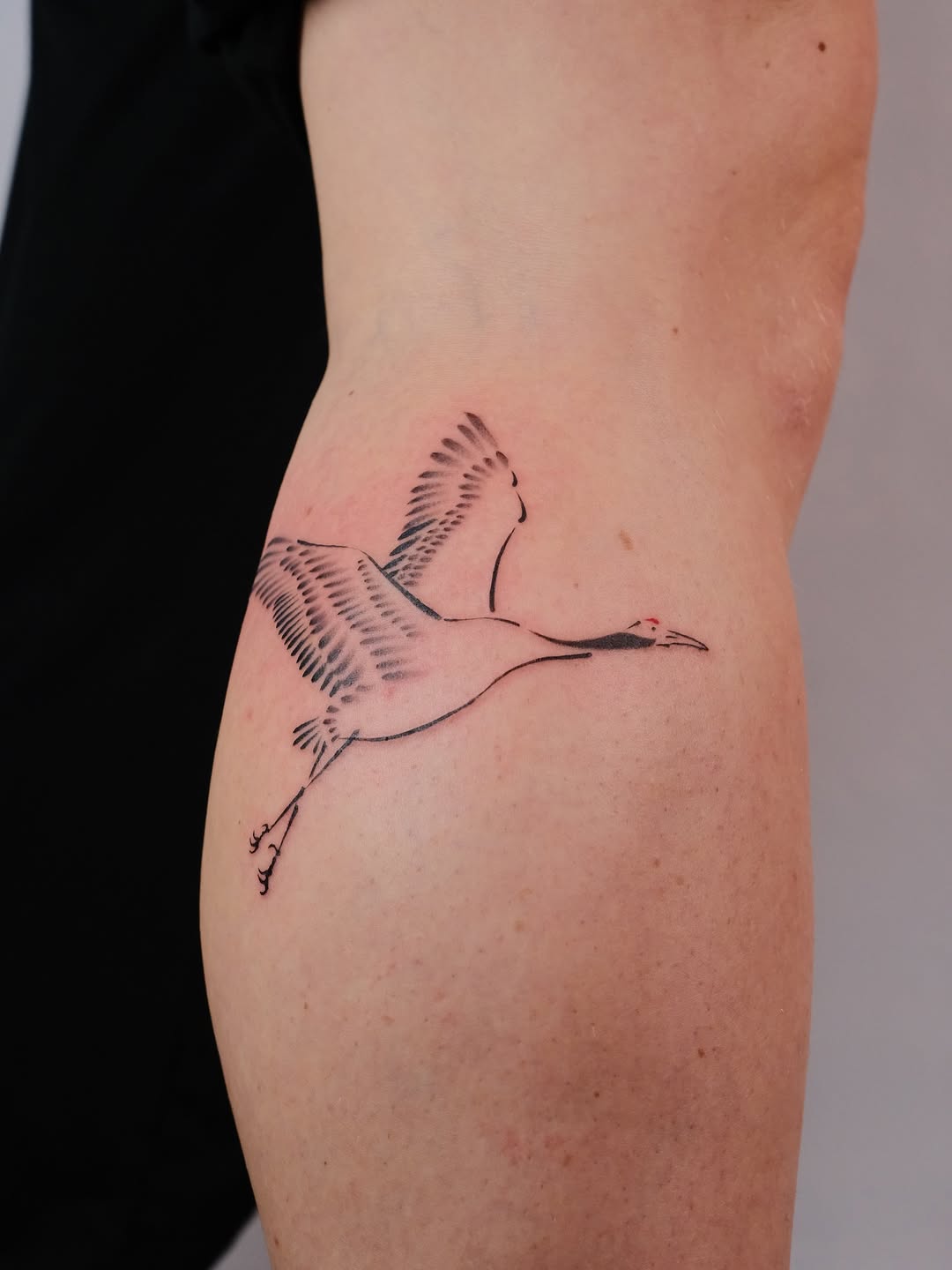 Tattoo by @wonkycube โ japanese_irezumi, fine_line