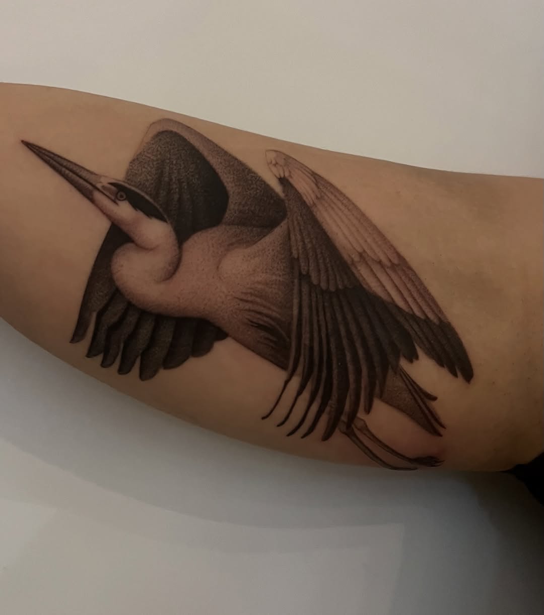 Tattoo by @juliannamenna — realism, black_and_grey