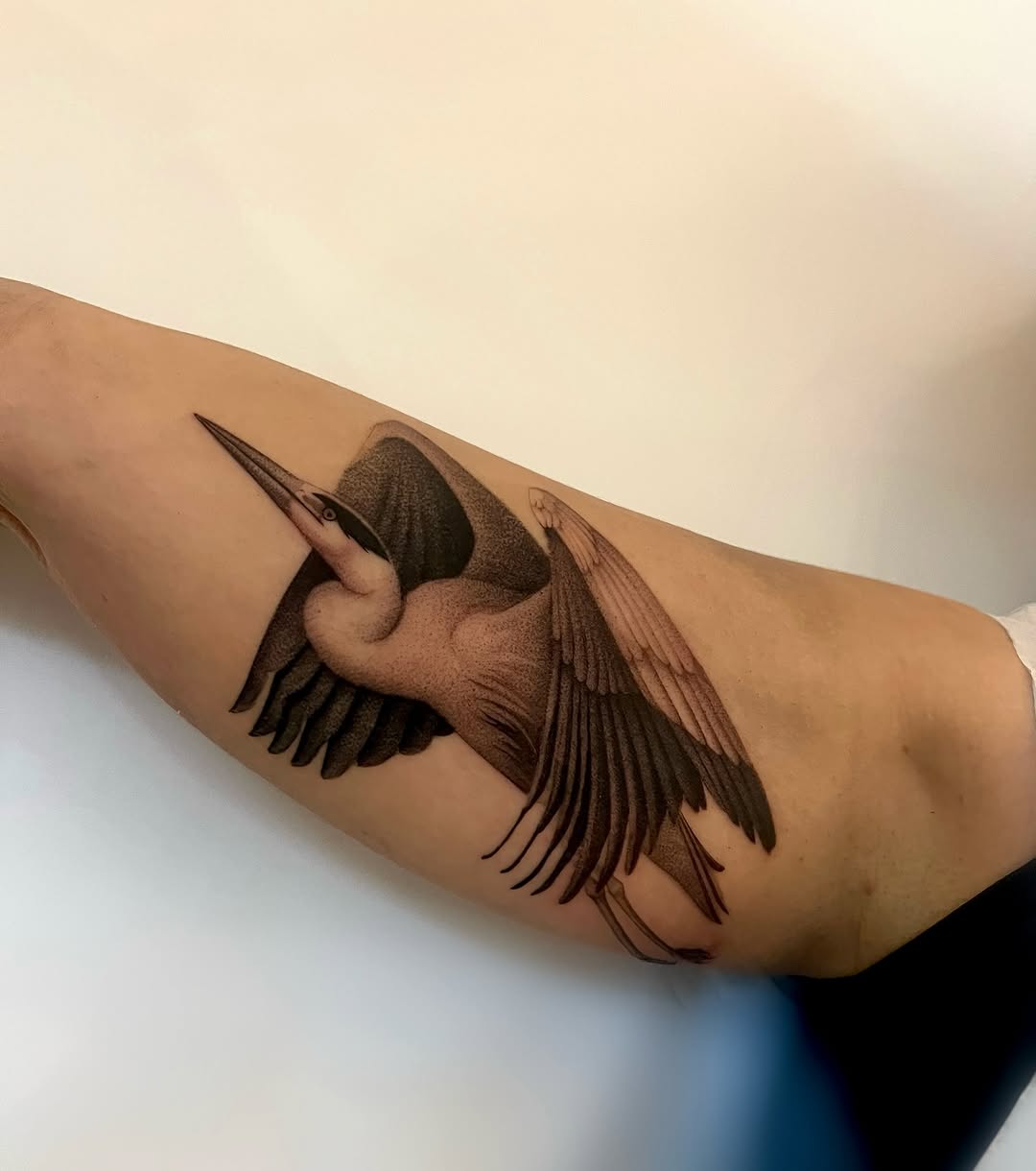 Tattoo by @juliannamenna — black_and_grey, realism