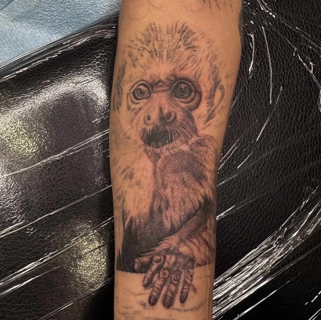 Tattoo by @brisiainks โ realism, black_and_grey