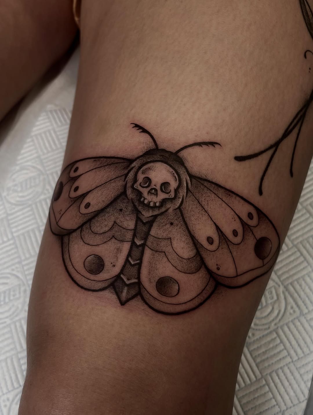 Tattoo by @dog.house.tattoo β black_and_grey, dotwork