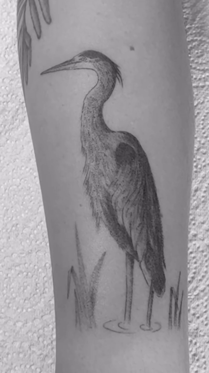 Tattoo by @bronzino_ink — black_and_grey
