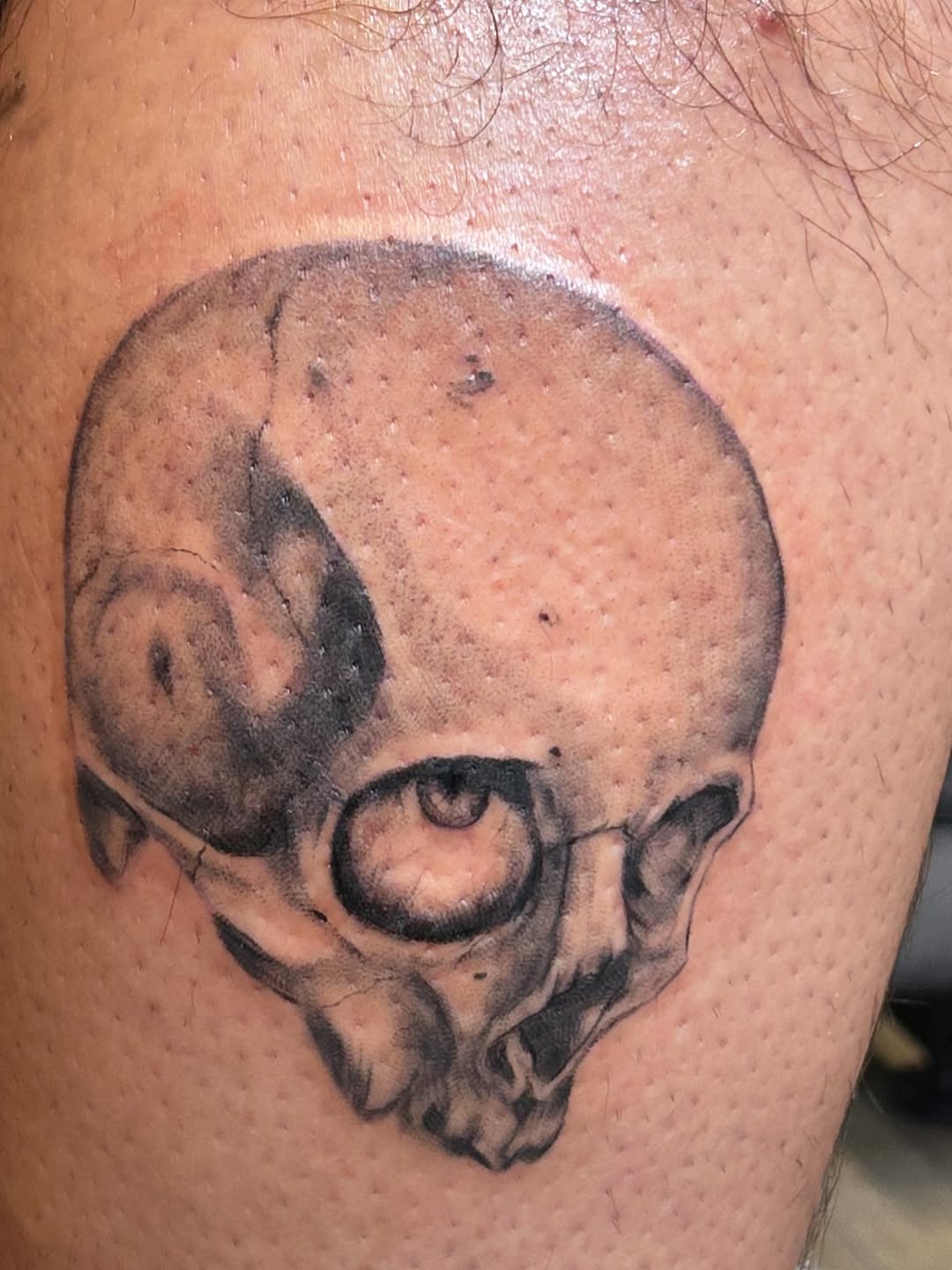 Tattoo by @nomadic.designs β realism, black_and_grey