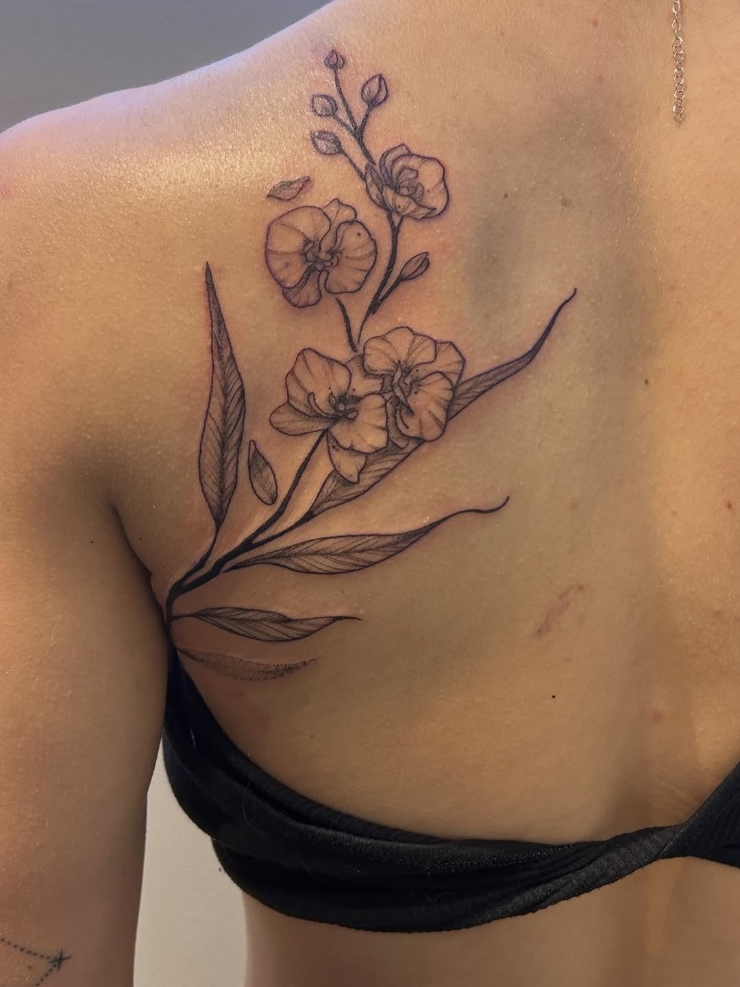 Tattoo by @nomadic.designs β fine_line, black_and_grey