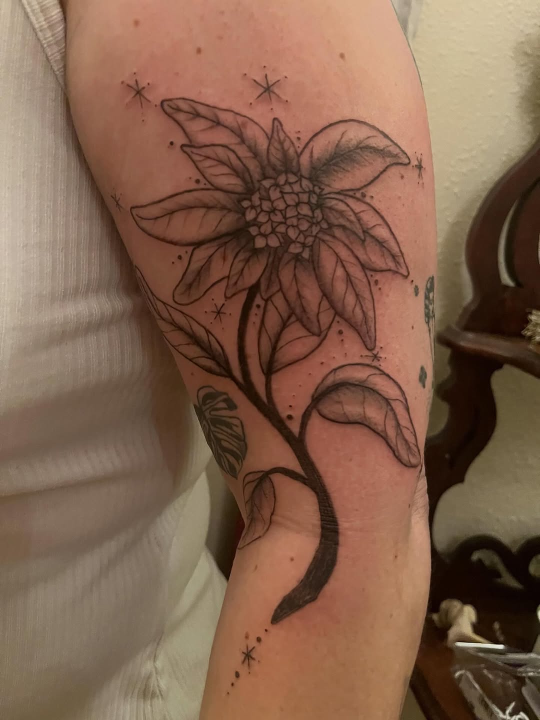 Tattoo by @lanternalia.arts — illustrative, black_and_grey
