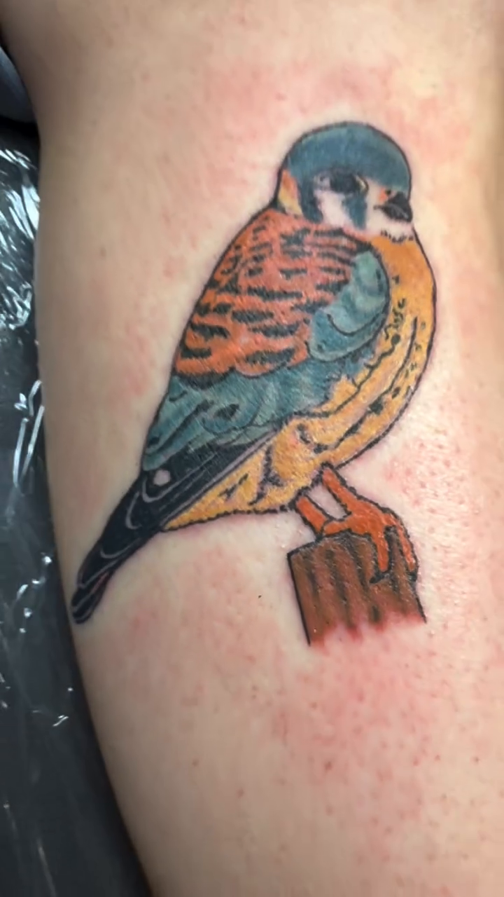 Tattoo by @c.rose.tat2 — realism, american_traditional