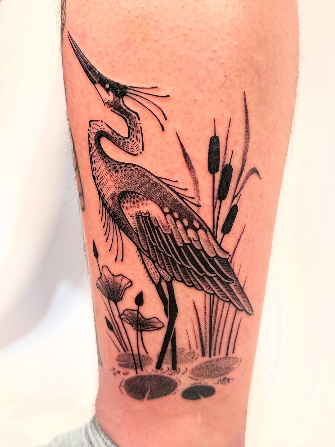 Tattoo by @fishcake.tats β illustrative, black_and_grey