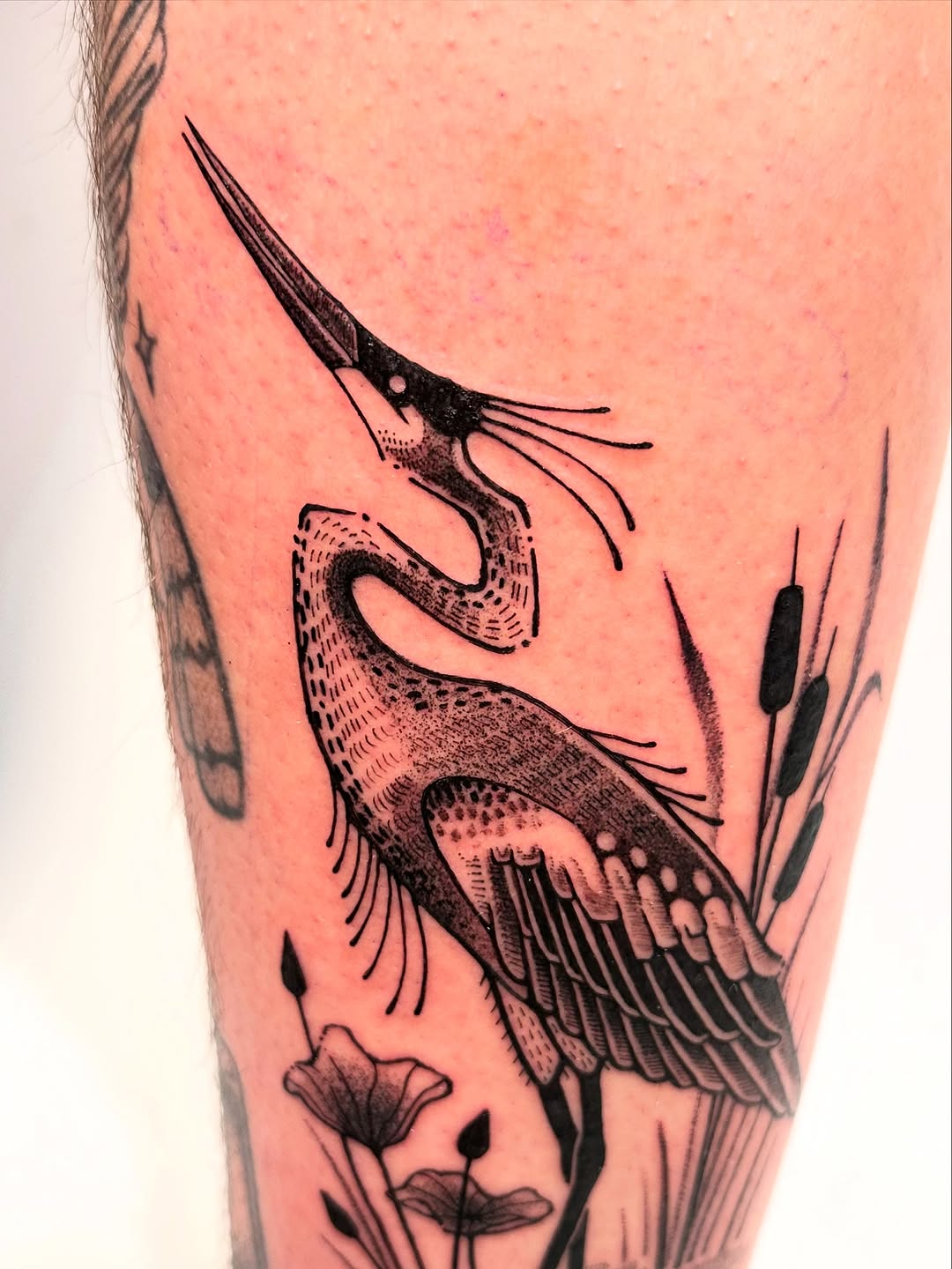 Tattoo by @fishcake.tats β black_and_grey, illustrative
