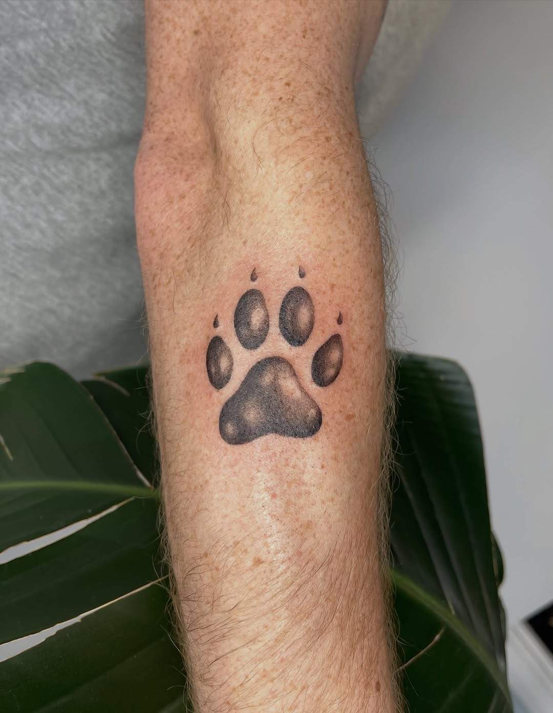 Tattoo by @nicol.ink_ — black_and_grey, realism