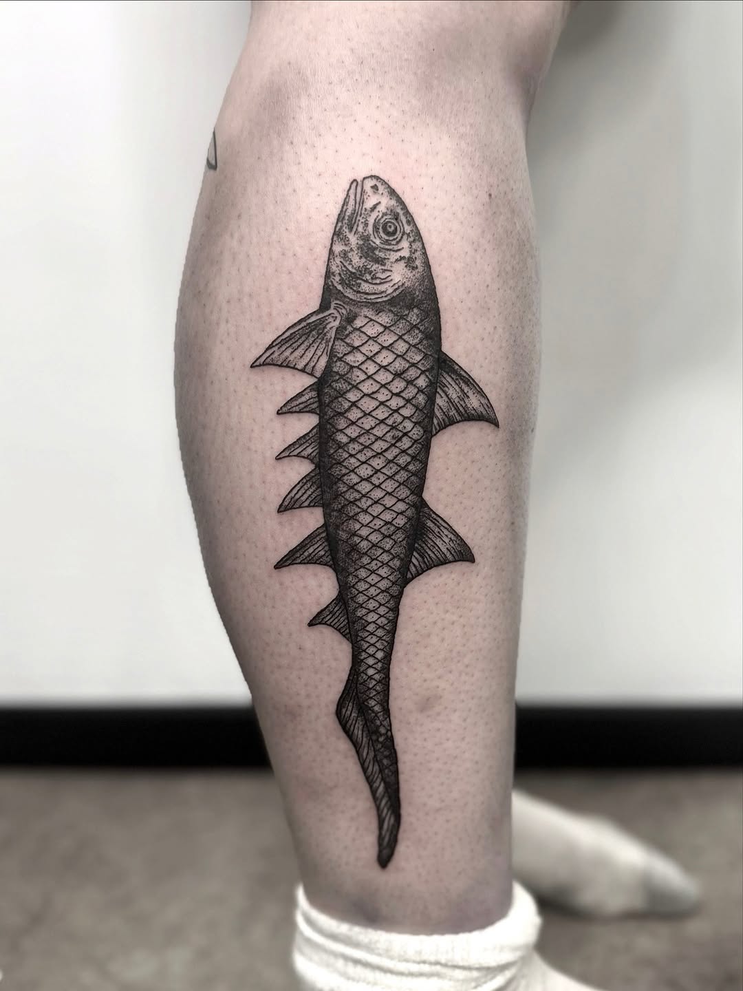 Tattoo by @hellridertattoo — dotwork, black_and_grey