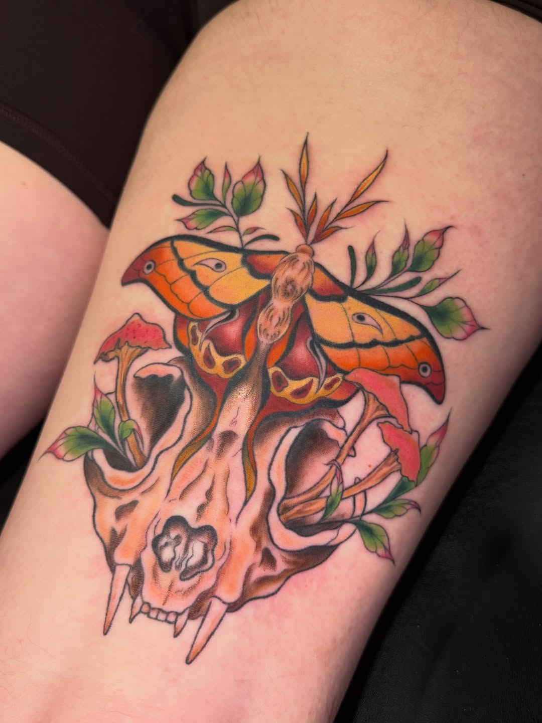 Tattoo by @seenaink — illustrative, neo_traditional