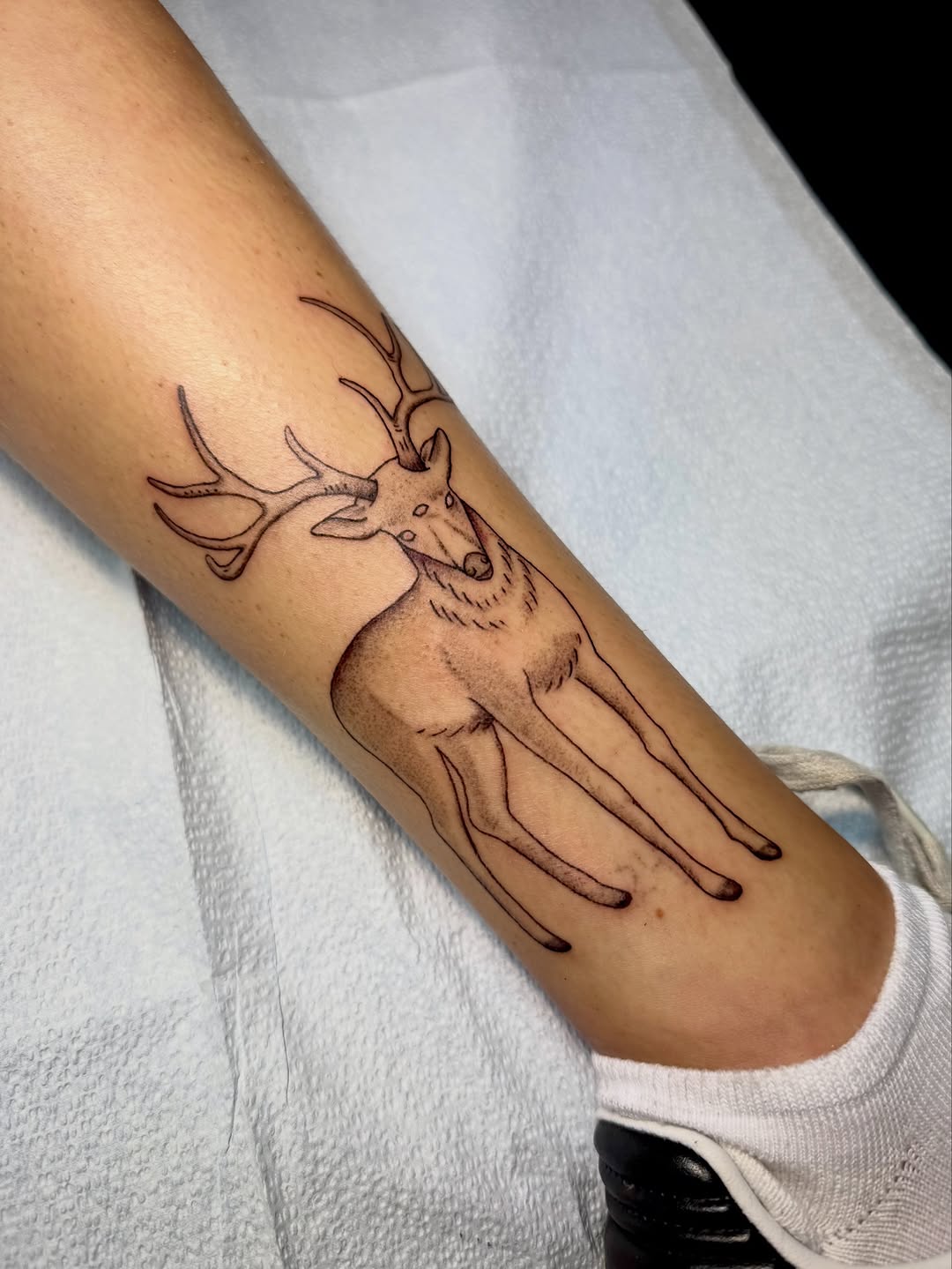 Tattoo by @lilmazetattoos β fine_line, black_and_grey