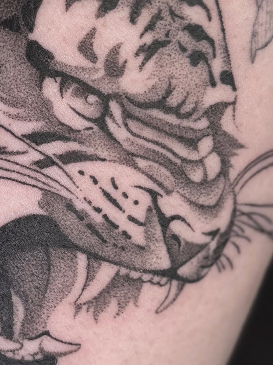 Tattoo by @taylor.inks — dotwork, black_and_grey