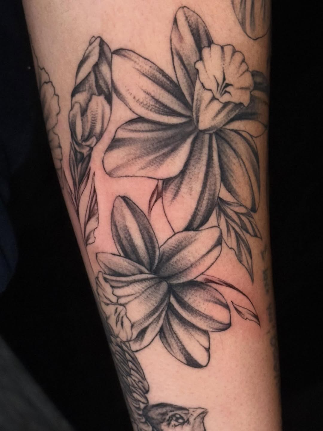 Tattoo by @immaculata_tattoo — black_and_grey, realism