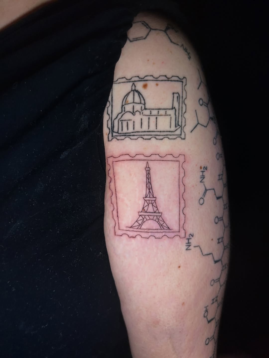 Tattoo by @mayberry.ink — fine_line