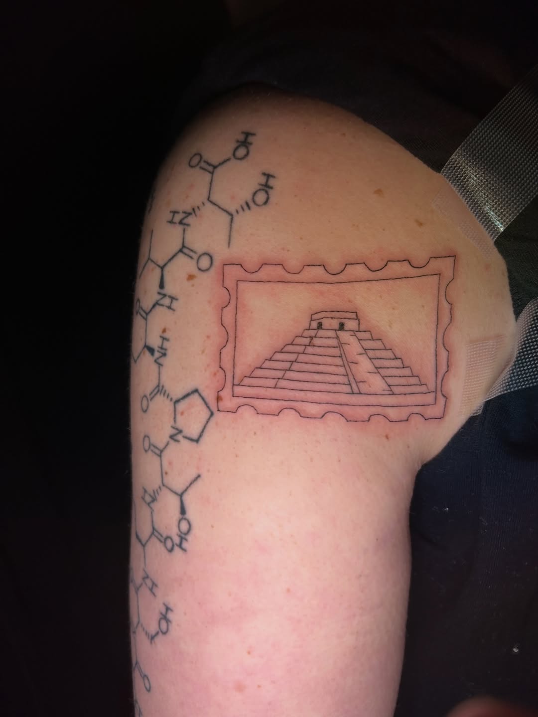 Tattoo by @mayberry.ink — fine_line