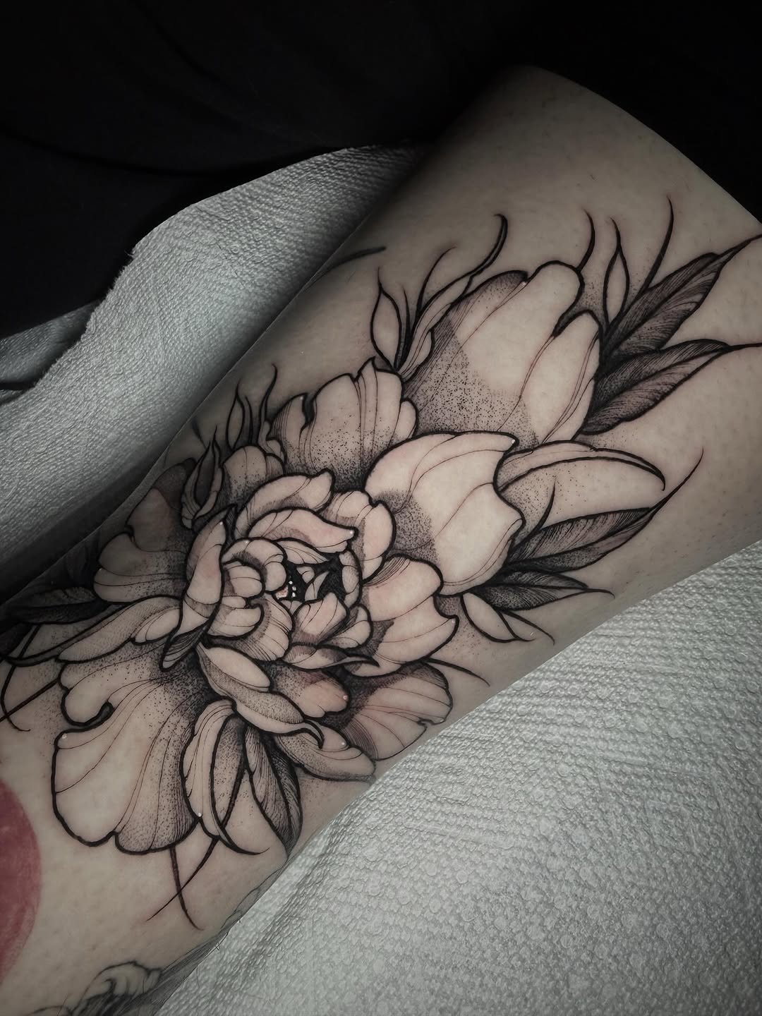 Tattoo by @cattblacktattoo — fine_line, dotwork