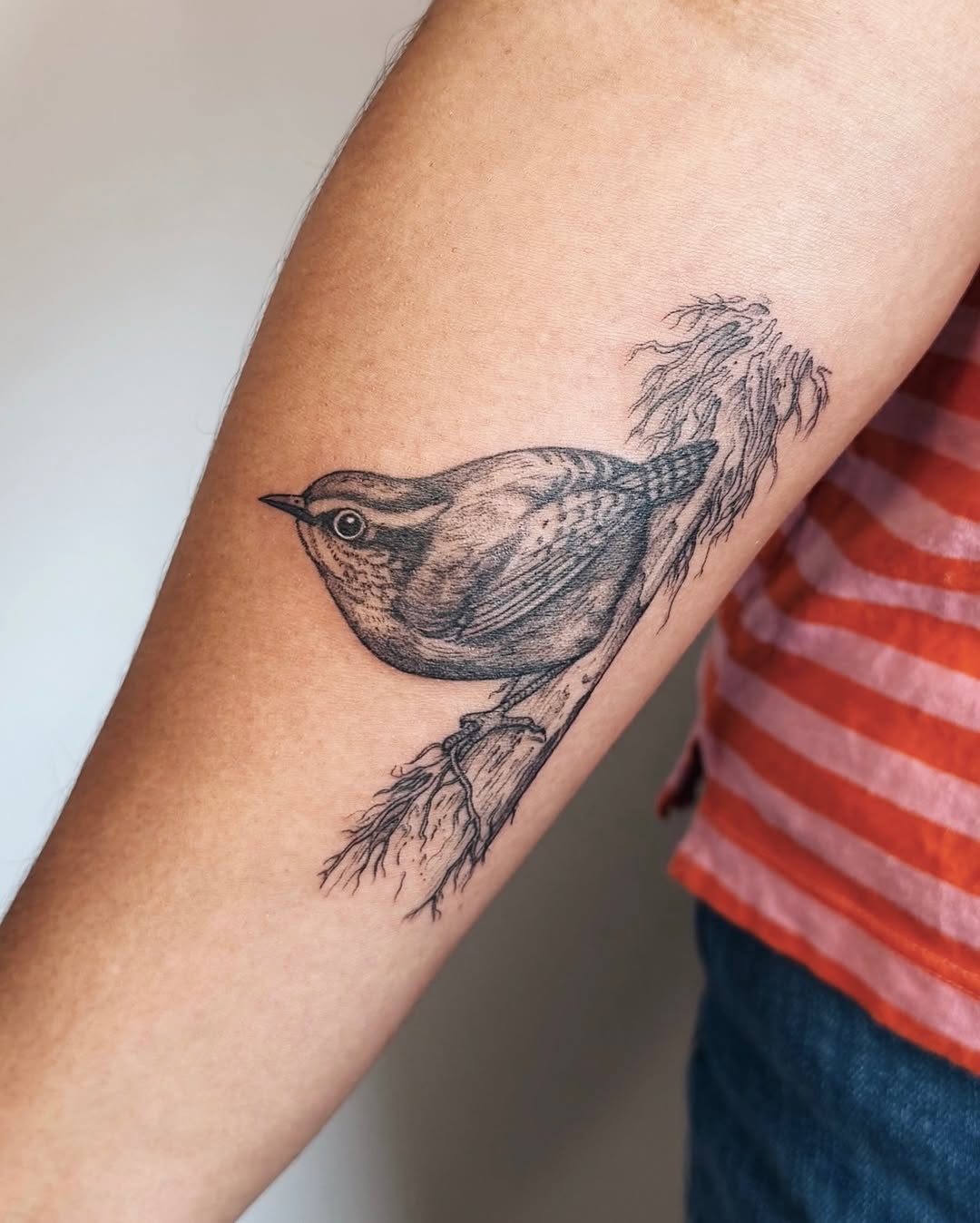Tattoo by @fennec.fox.tats — realism, black_and_grey