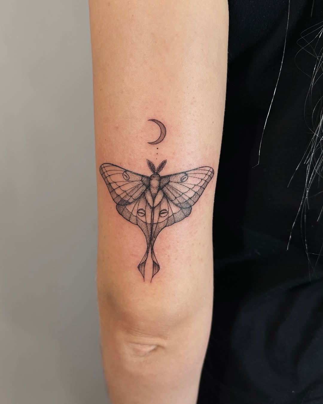 Tattoo by @fennec.fox.tats — fine_line, dotwork