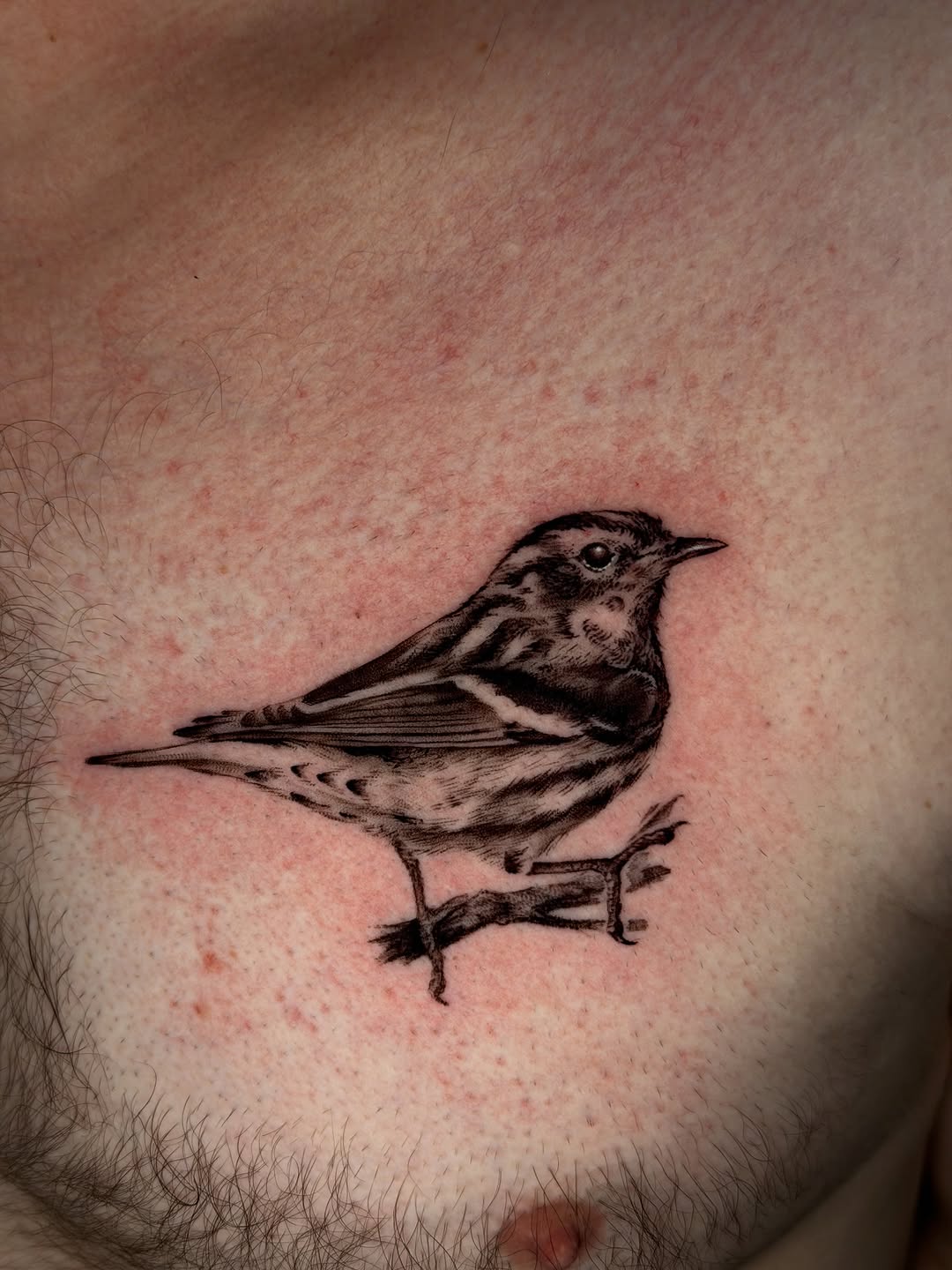 Tattoo by @sierrce β realism, black_and_grey
