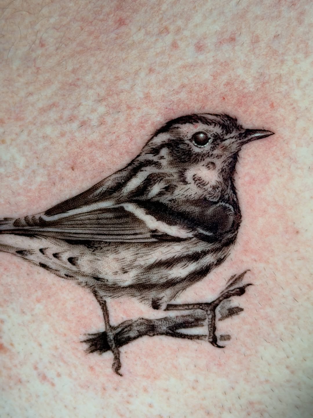 Tattoo by @sierrce β realism, black_and_grey