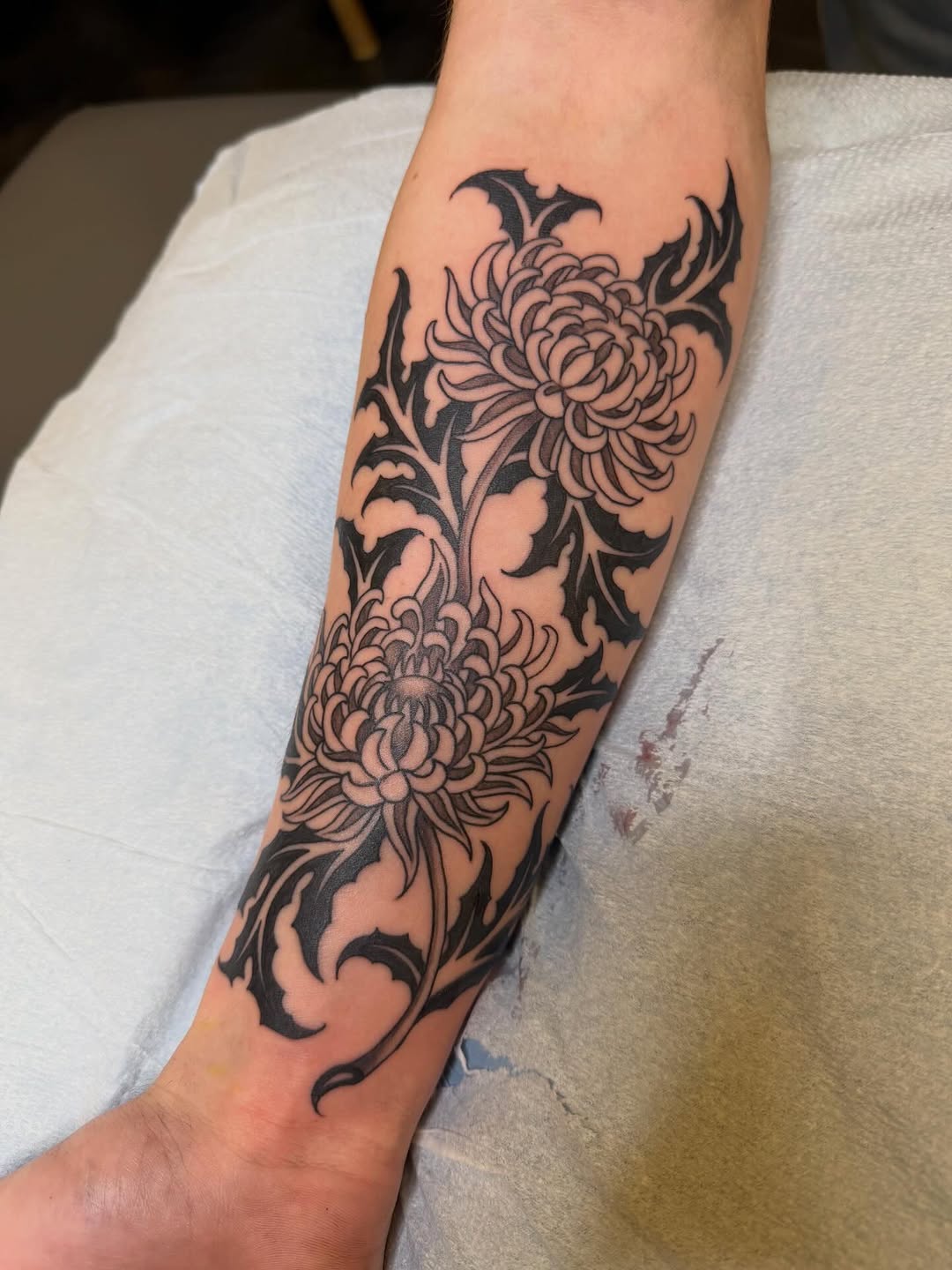 Tattoo by @tashavenola — blackwork, illustrative
