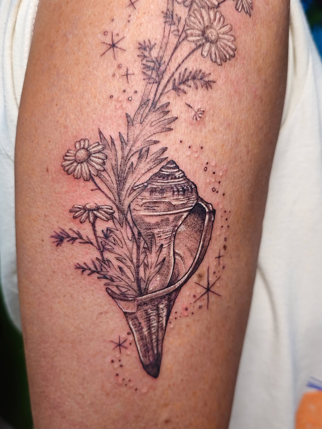 Tattoo by @talia_tattoo_ — fine_line, illustrative
