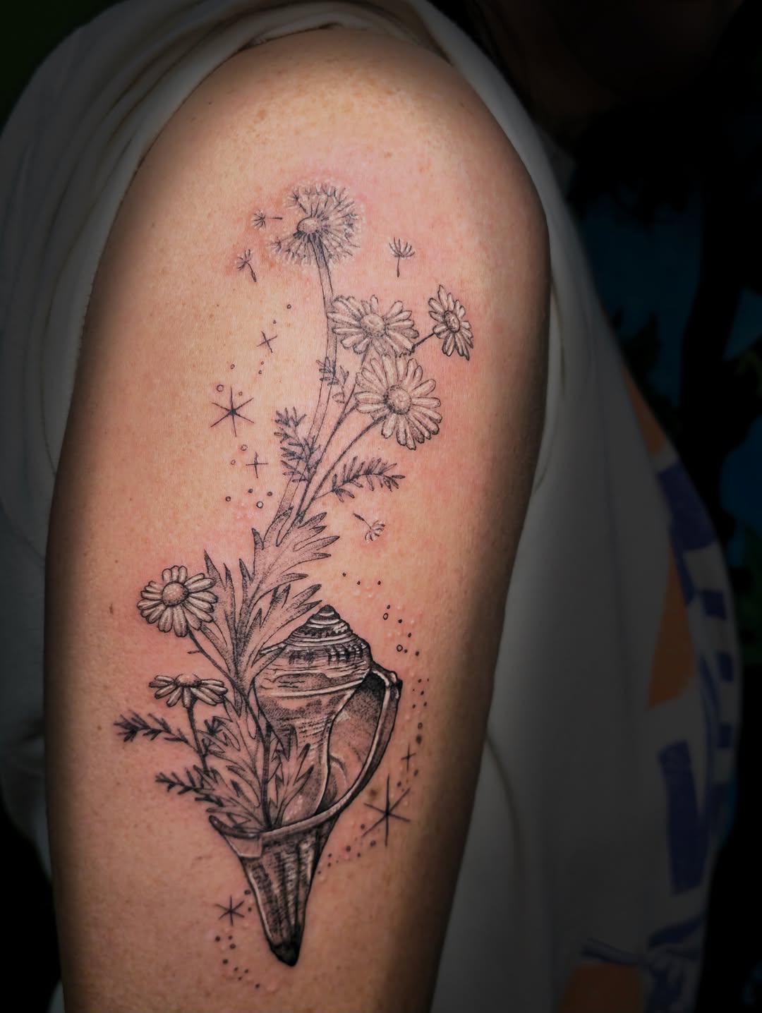 Tattoo by @talia_tattoo_ — fine_line, black_and_grey