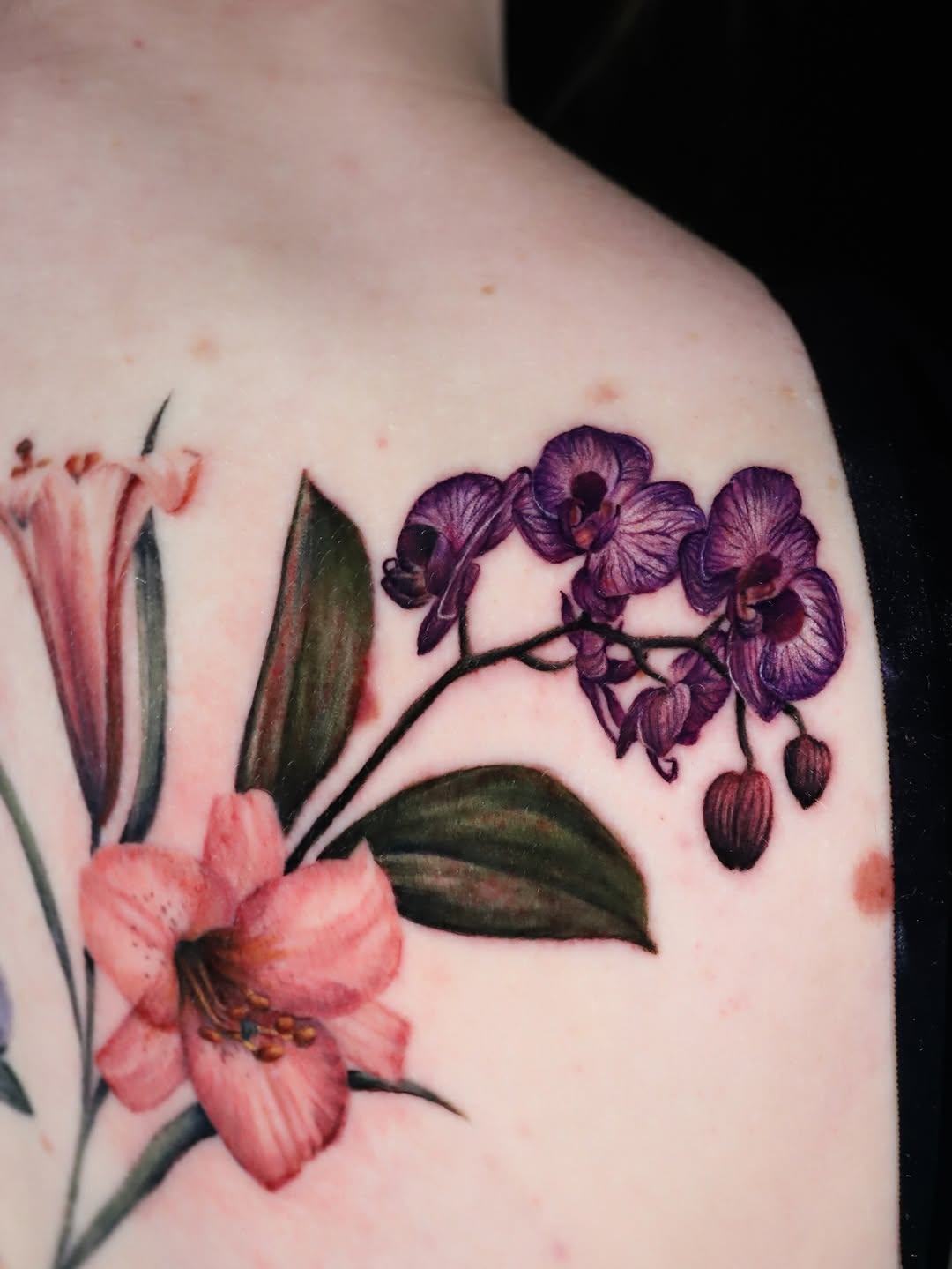 Tattoo by @emily.tattoos — realism, fine_line