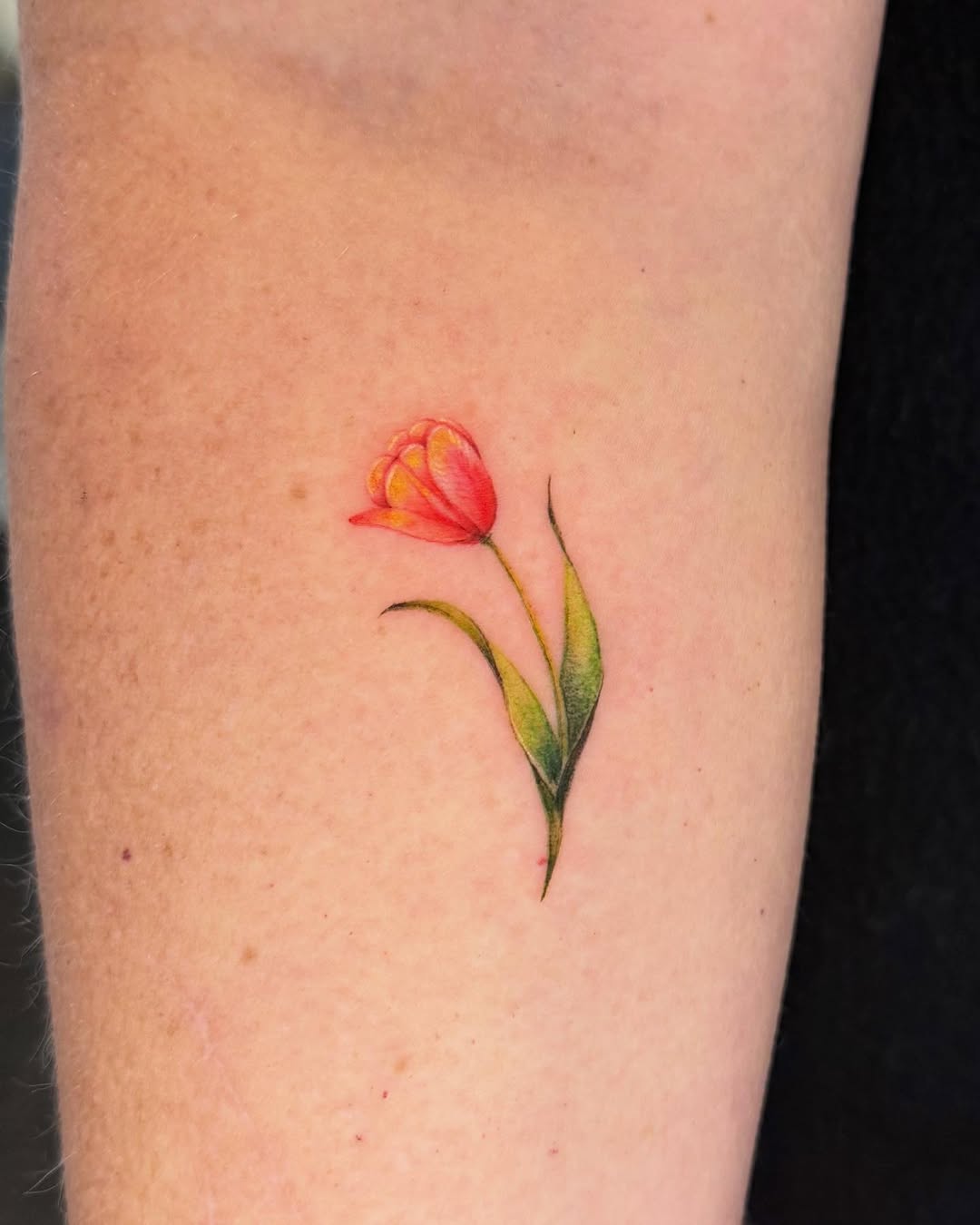 Tattoo by @iciez_tatt — fine_line, illustrative