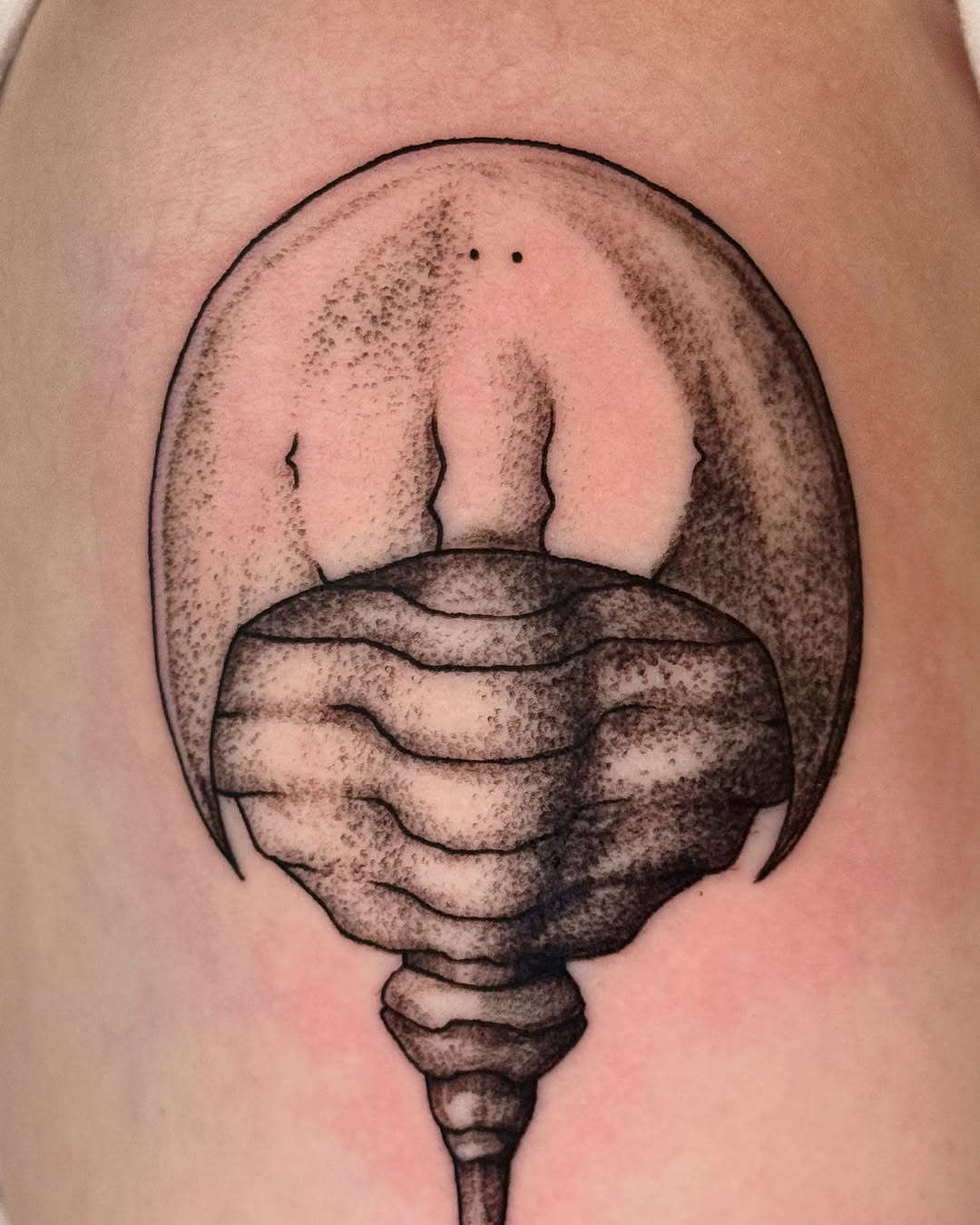 Tattoo by @patternfreak — dotwork, black_and_grey
