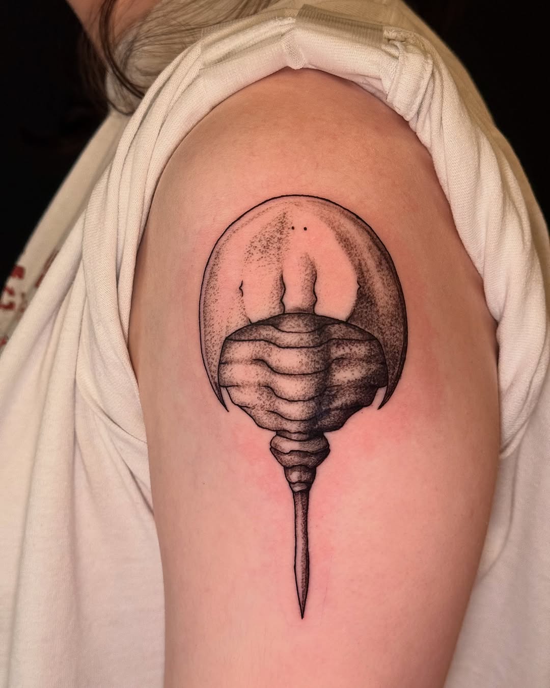 Tattoo by @patternfreak — black_and_grey, dotwork