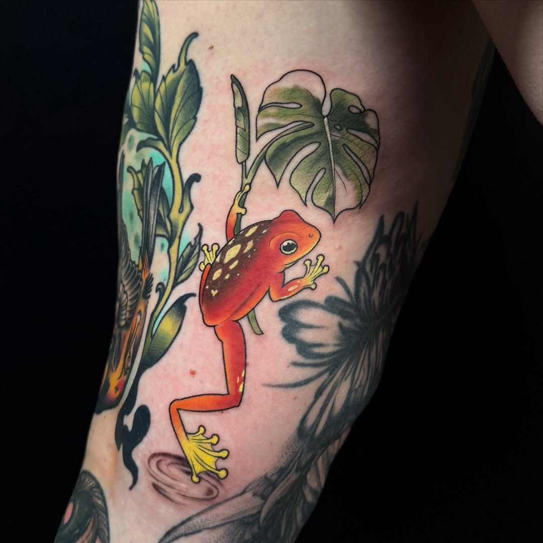 Tattoo by @xandratattoos — illustrative, new_school