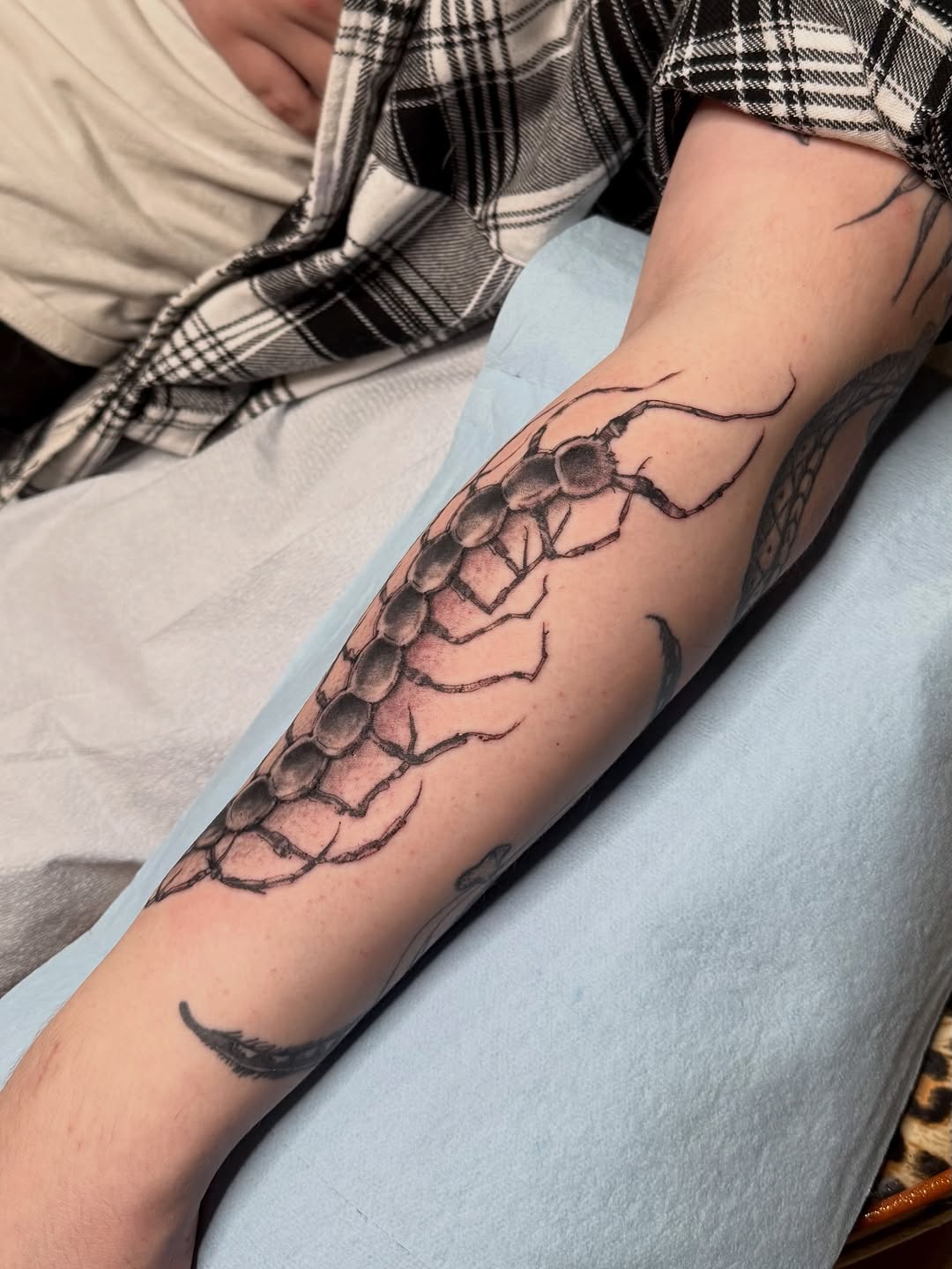 Tattoo by @melania.tatts โ black_and_grey, realism