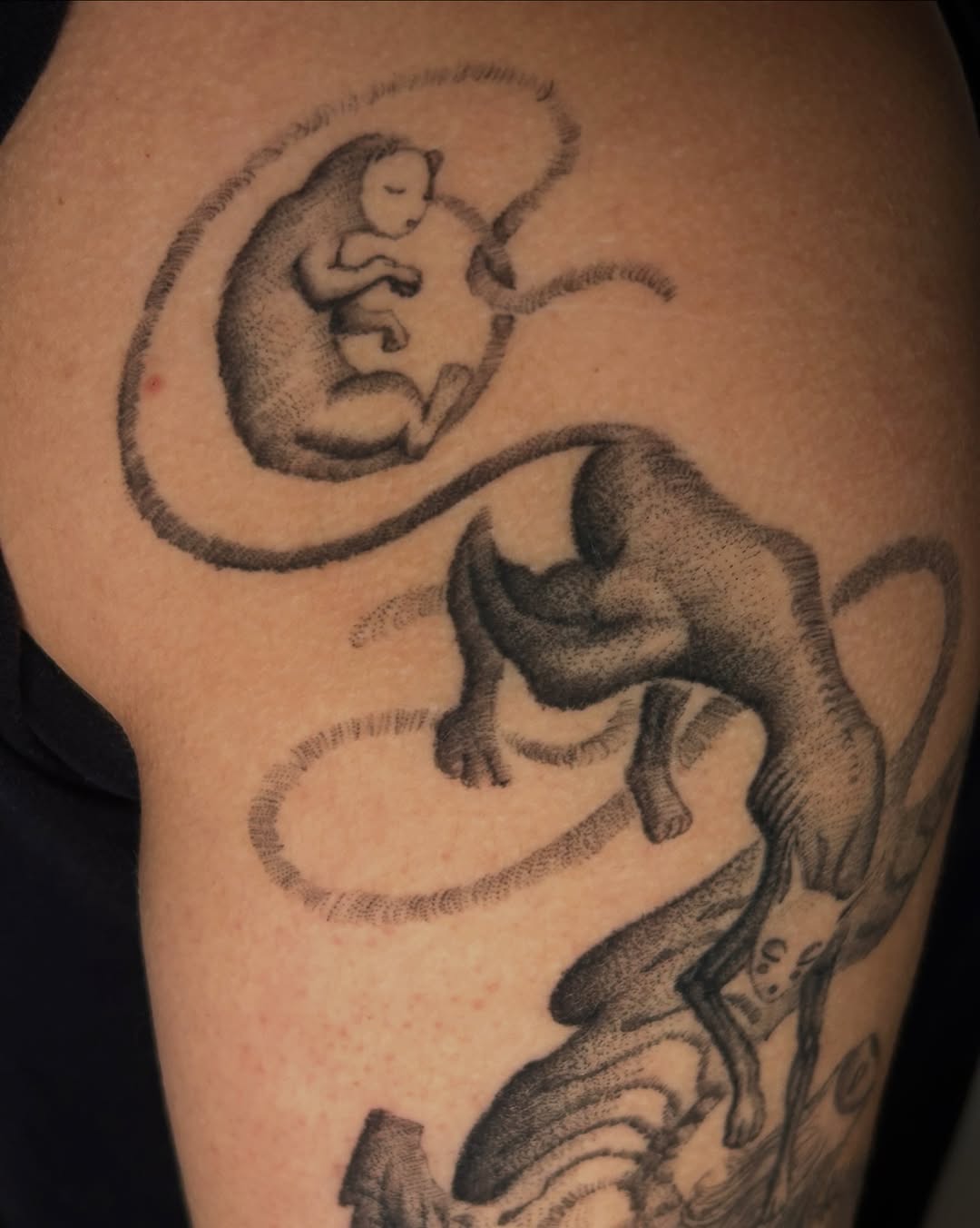Tattoo by @beingtattoos — dotwork, illustrative