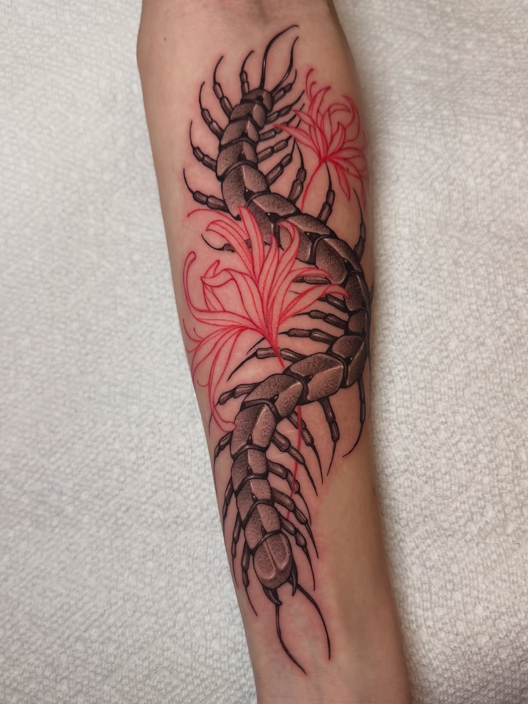 Tattoo by @morrisontattooer — black_and_grey, dotwork
