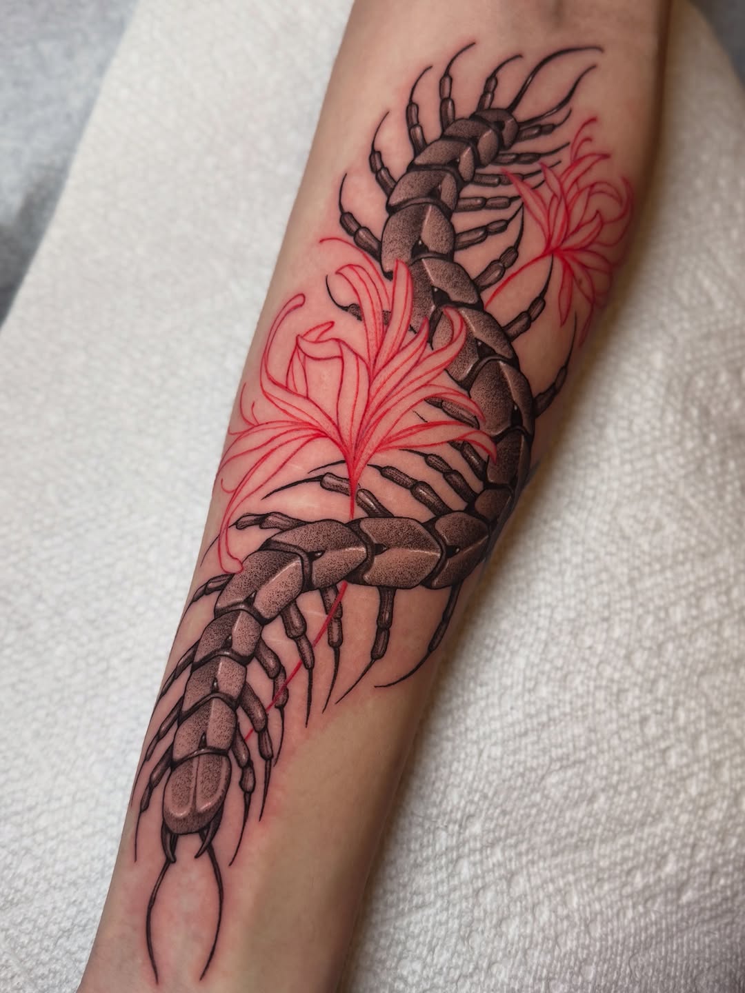 Tattoo by @morrisontattooer — black_and_grey, realism