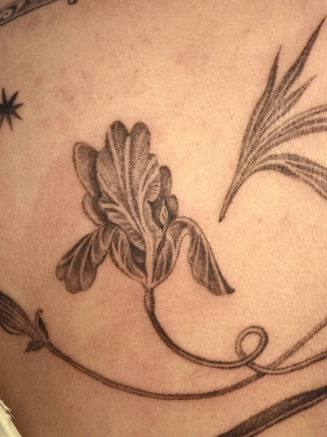 Tattoo by @oh_stella_oh — illustrative, black_and_grey