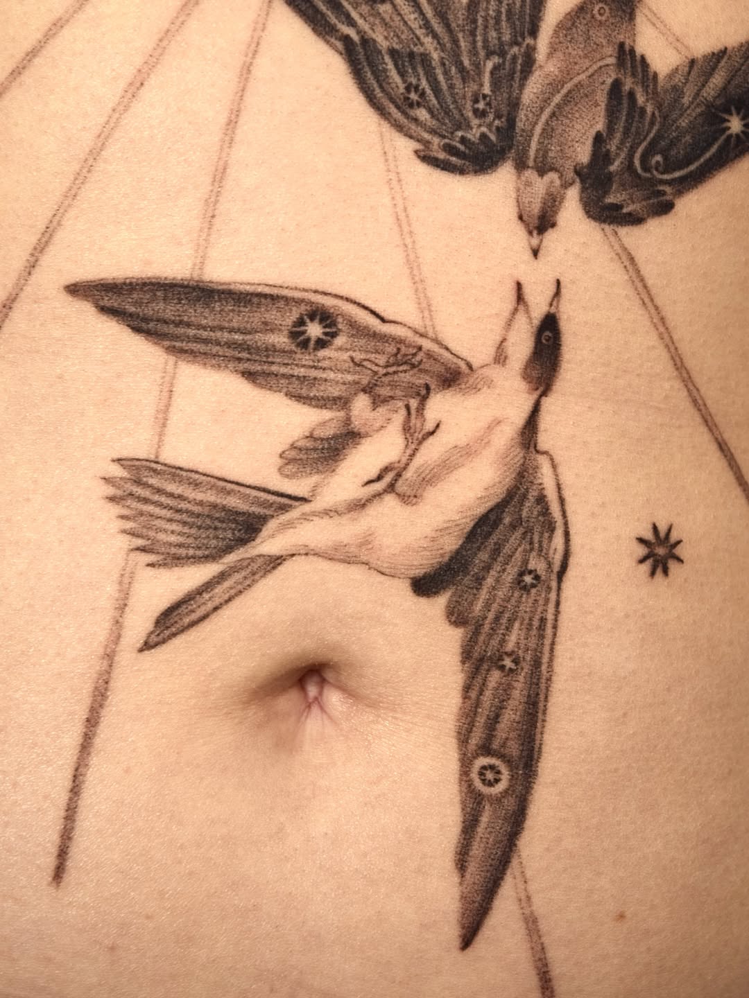 Tattoo by @oh_stella_oh — illustrative, black_and_grey