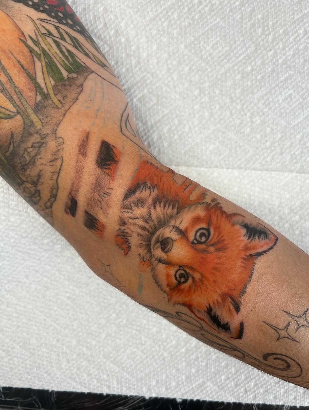 Tattoo by @jbren.art — realism, color