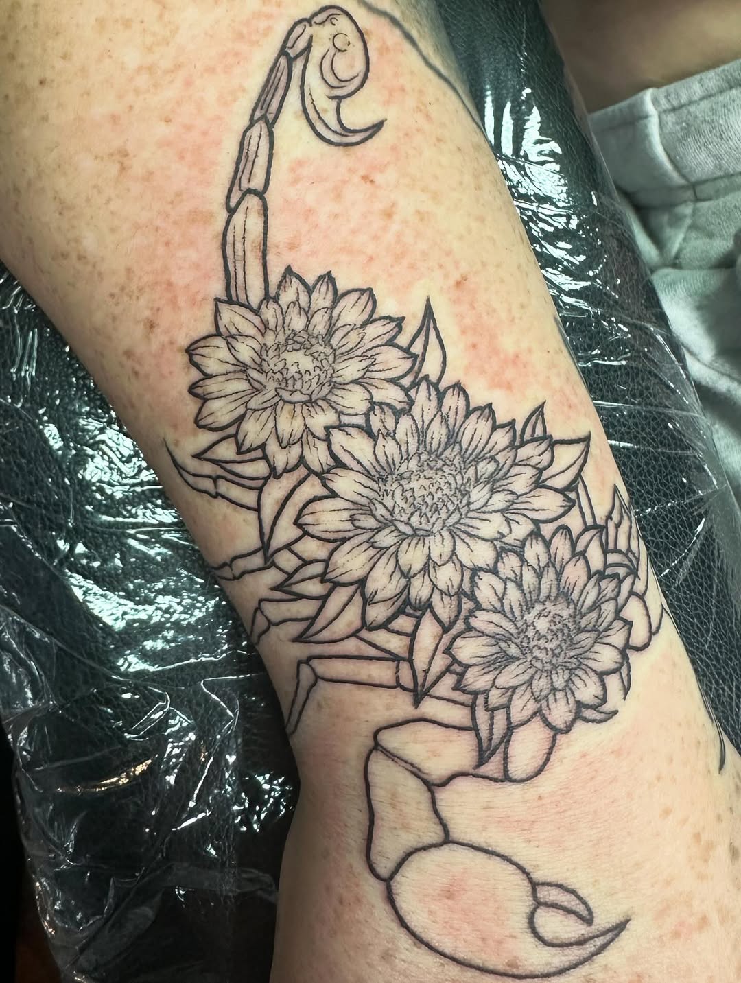 Tattoo by @sarahsmiletattoo โ illustrative, black_and_grey