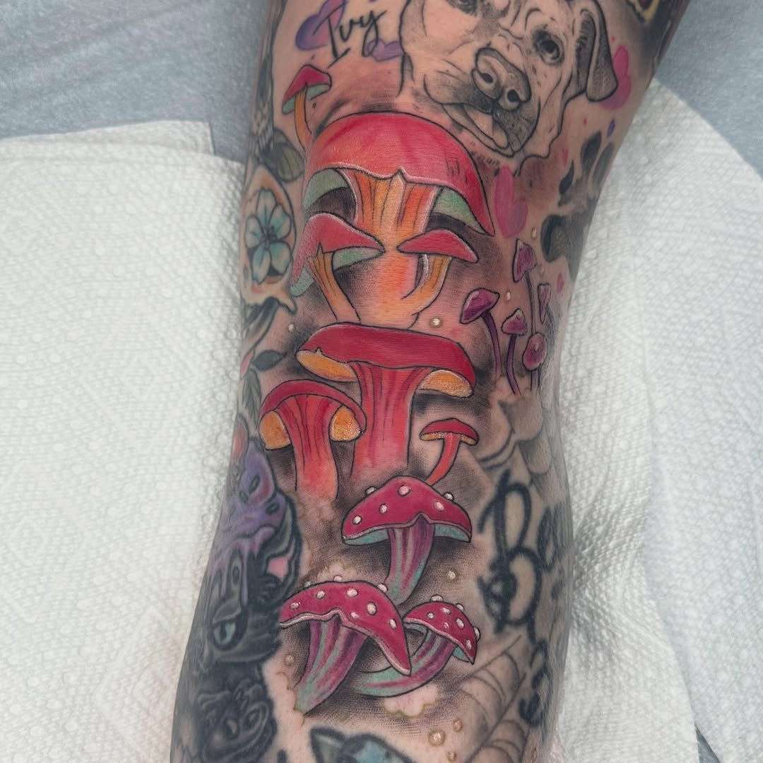 Tattoo by @tattoosbyhaas — illustrative, new_school
