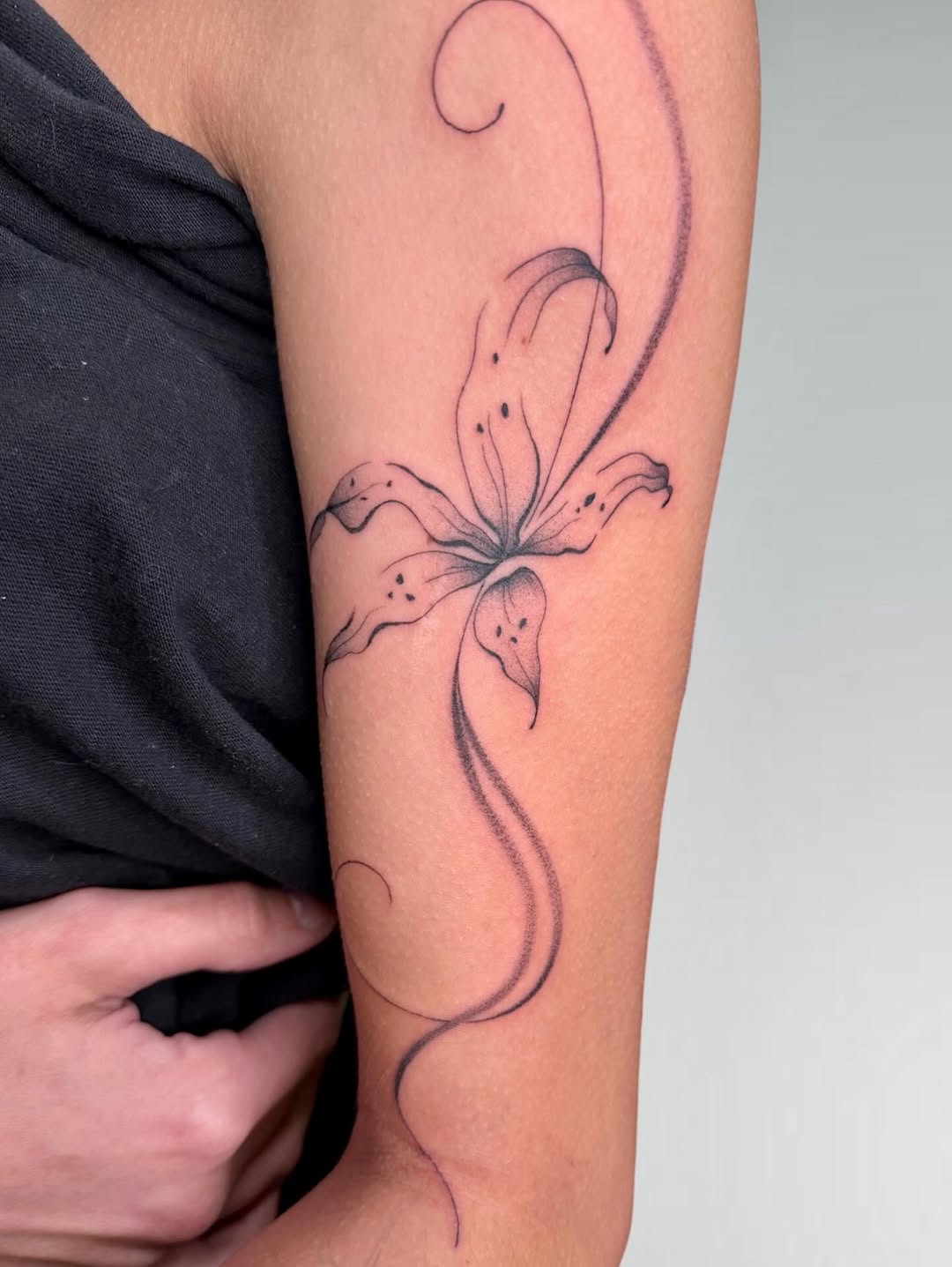 Tattoo by @kaylas.ink — fine_line, dotwork
