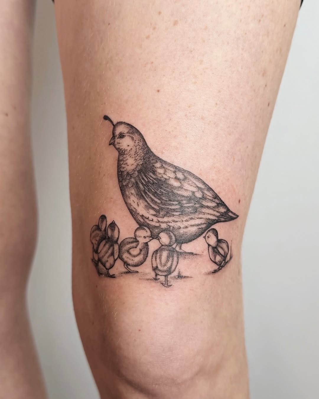 Tattoo by @fennec.fox.tats — illustrative, black_and_grey