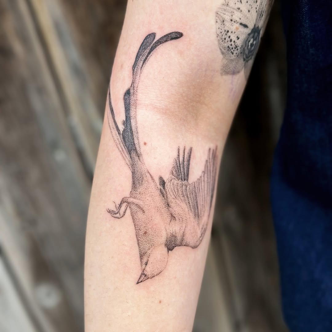 Tattoo by @khk.ttt — dotwork, black_and_grey