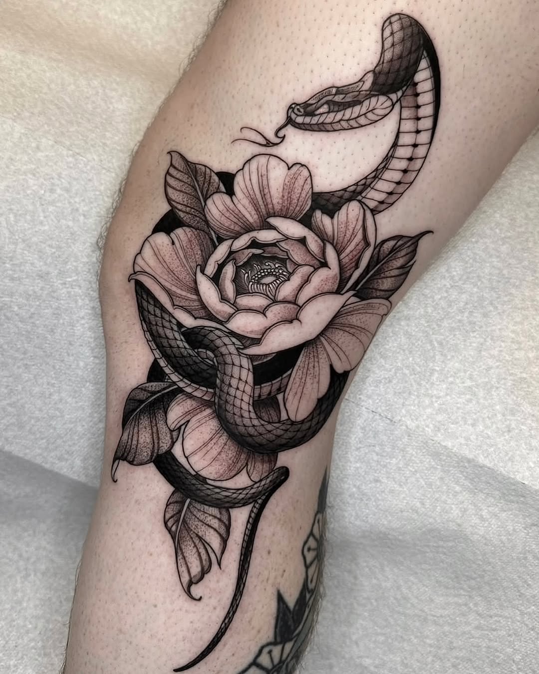 Tattoo by @robbiepina — black_and_grey, realism