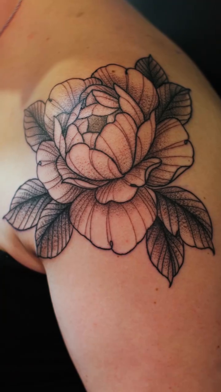 Tattoo by @adam.tattoos — fine_line, black_and_grey